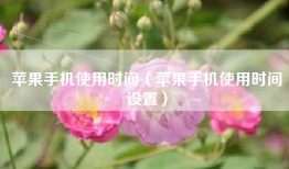 苹果手机使用时间（苹果手机使用时间设置）