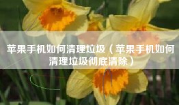 苹果手机如何清理垃圾（苹果手机如何清理垃圾彻底清除）