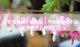 手机看视频不能全屏（手机看视频不能全屏是什么原因？）