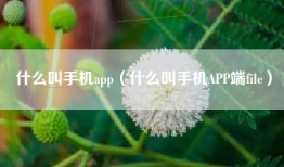 什么叫手机app（什么叫手机APP端file）