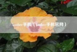 koobee手机（koobee手机官网）