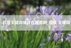 百度关键词统计在哪看啊_百度 关键词
