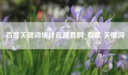 百度关键词统计在哪看啊_百度 关键词