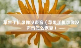 苹果手机录像没声音（苹果手机录像没声音怎么恢复）