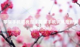 苹果手机调亮度（苹果手机调亮度但亮度不变）