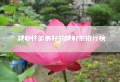 越野性能最好的越野车排行榜