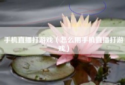 手机直播打游戏（怎么用手机直播打游戏）