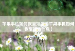 苹果手机如何恢复短信（苹果手机如何恢复短信信息）