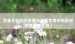 苹果手机如何恢复短信（苹果手机如何恢复短信信息）