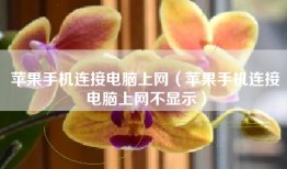 苹果手机连接电脑上网（苹果手机连接电脑上网不显示）