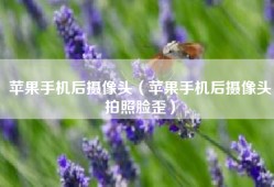 苹果手机后摄像头（苹果手机后摄像头拍照脸歪）