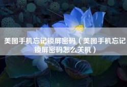 美图手机忘记锁屏密码（美图手机忘记锁屏密码怎么关机）