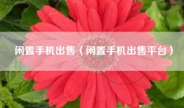闲置手机出售（闲置手机出售平台）