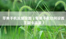 苹果手机流量设置（苹果手机如何设置主副卡流量）