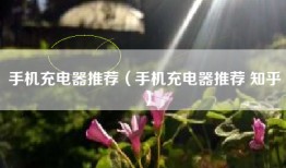 手机充电器推荐（手机充电器推荐 知乎）