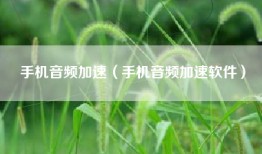 手机音频加速（手机音频加速软件）
