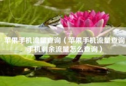 苹果手机流量查询（苹果手机流量查询手机剩余流量怎么查询）