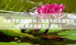 苹果手机流量查询（苹果手机流量查询手机剩余流量怎么查询）