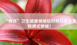 “锡连”卫生健康领域结对帮扶迎来里程碑式突破！