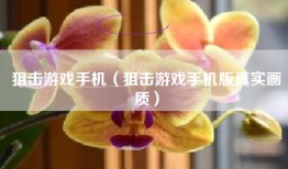 狙击游戏手机（狙击游戏手机版真实画质）