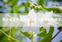 天之痕手机版下载（天之痕单机游戏手机版）
