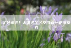 定好闹钟！天津这个区发放新一轮消费券