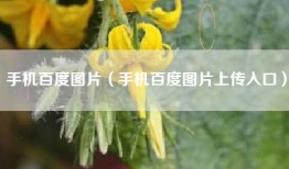 手机百度图片（手机百度图片上传入口）