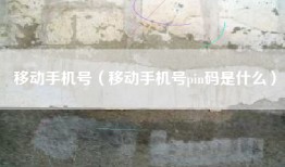 移动手机号（移动手机号pin码是什么）