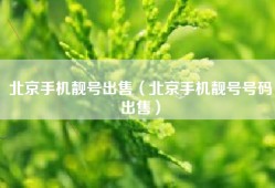 北京手机靓号出售（北京手机靓号号码出售）
