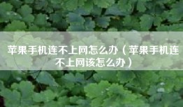 苹果手机连不上网怎么办（苹果手机连不上网该怎么办）