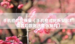 手机格式化恢复（手机格式化恢复出厂设置后数据还能恢复吗）