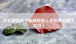 手机摔花屏了能修好吗（手机摔花屏了咋办）