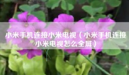 小米手机连接小米电视（小米手机连接小米电视怎么全屏）