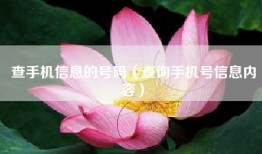 查手机信息的号码（查询手机号信息内容）