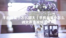 手机音量小怎么调大（手机音量小怎么调大声音视频）