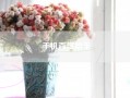 手机百度助手