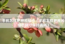 手机怎样把照片缩小（手机怎样把照片缩小尺寸保持清晰）