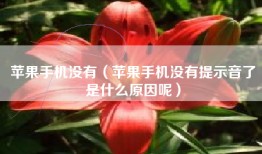 苹果手机没有（苹果手机没有提示音了是什么原因呢）