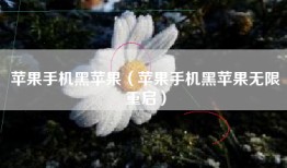 苹果手机黑苹果（苹果手机黑苹果无限重启）