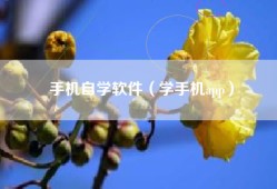 手机自学软件（学手机app）