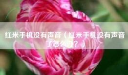 红米手机没有声音（红米手机没有声音了怎么办？）