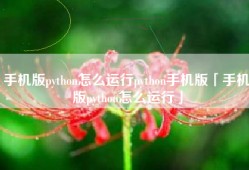 手机版python怎么运行python手机版「手机版python怎么运行」