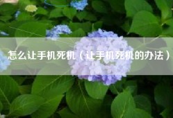 怎么让手机死机（让手机死机的办法）