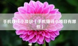 手机赚钱小项目（手机赚钱小项目有哪些）