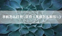 手机怎么打开7z文件（手机怎么解压7z）