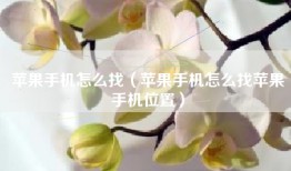 苹果手机怎么找（苹果手机怎么找苹果手机位置）