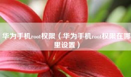 华为手机root权限（华为手机root权限在哪里设置）