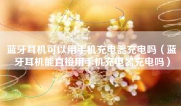 蓝牙耳机可以用手机充电器充电吗（蓝牙耳机能直接用手机充电器充电吗）