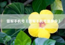 雷军手机号（雷军手机号是多少）