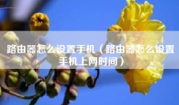 路由器怎么设置手机（路由器怎么设置手机上网时间）